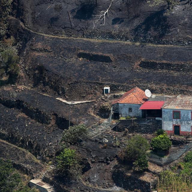 Le Portugal a fait appel à l'UE pour combattre l'incendie qui frappe l'île de Madère [KEYSTONE - HOMEM DE GOUVEIA]