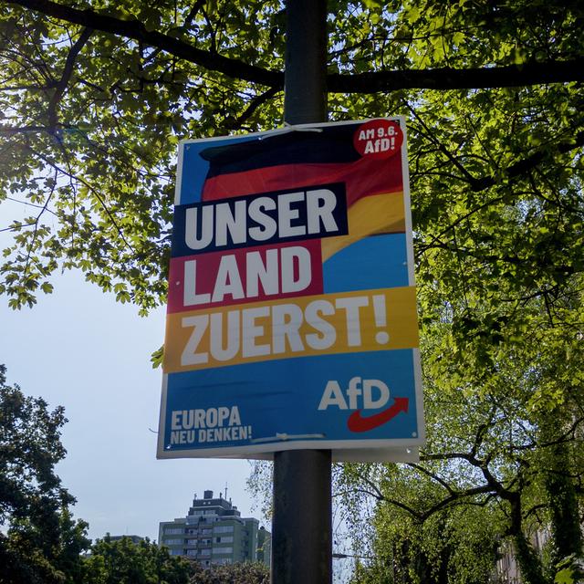 Soupçonné d’extrémisme, le parti d’extrême droite allemand AfD reste sous surveillance étroite. [Keystone/AP Photo - Michael Probst]