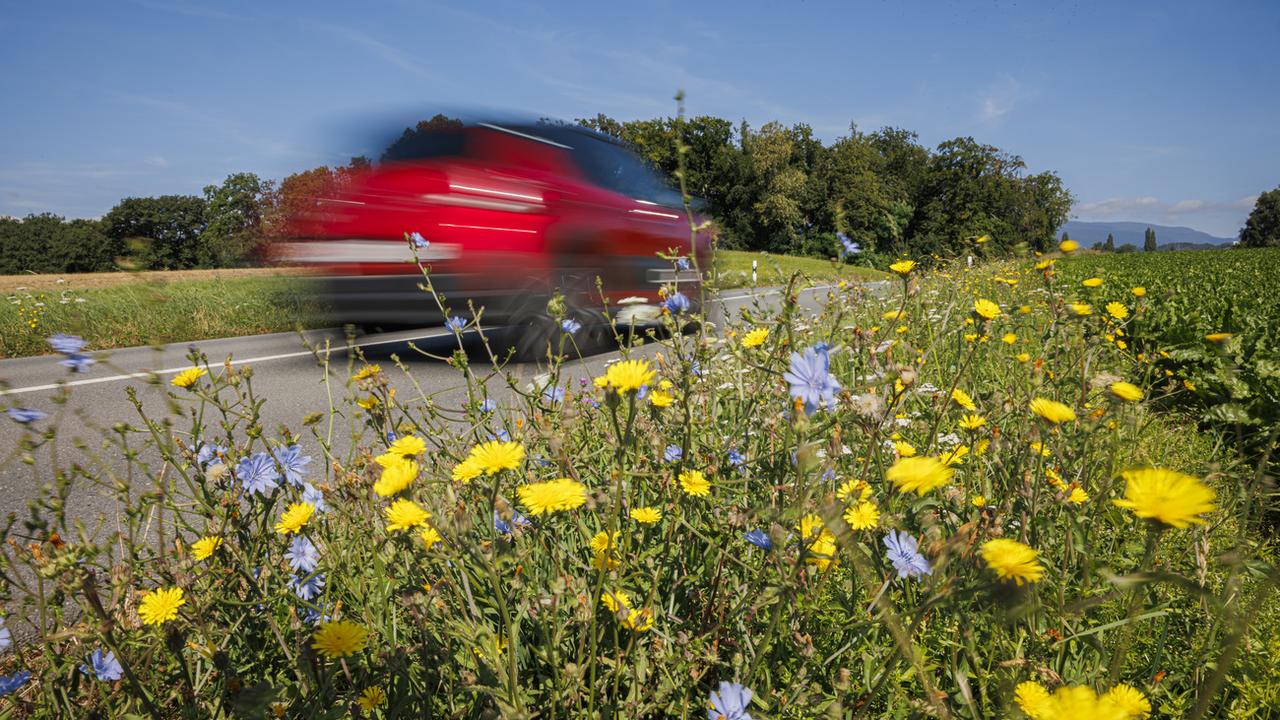 Une centaine de scientifiques alertent sur l'état de la biodiversité à quelque semaines de la votation [Keystone - Valentin Flauraud]