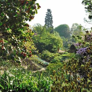 Jardin des Plantes de Paris: le Jardin alpin. [©MNHN - F.-G. Grandin - jardindesplantesdeparis.fr]