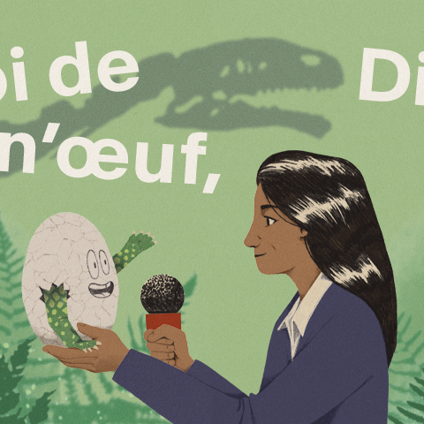 Quoi de n'oeuf Dino? [RTS]