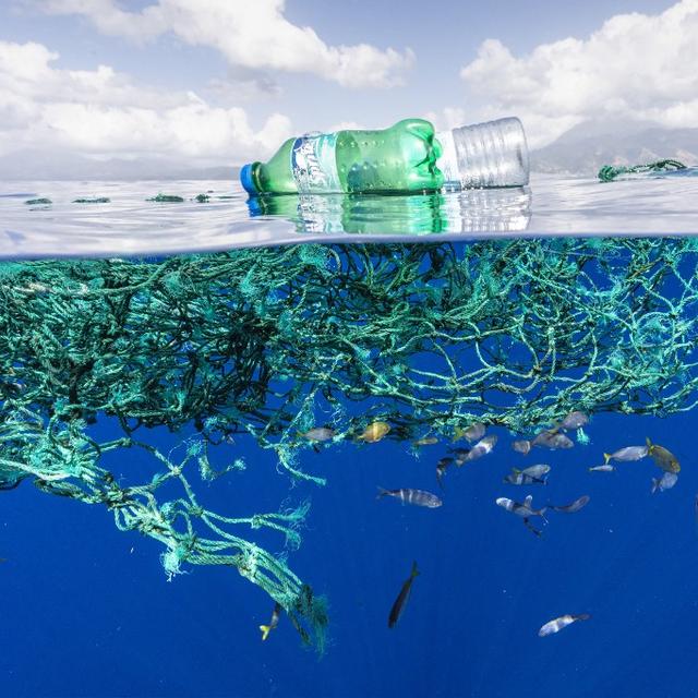 Les Galapagos s’attaquent à la pollution plastique (image d'illustration). [AFP - Franco Banfi/Biosphoto]