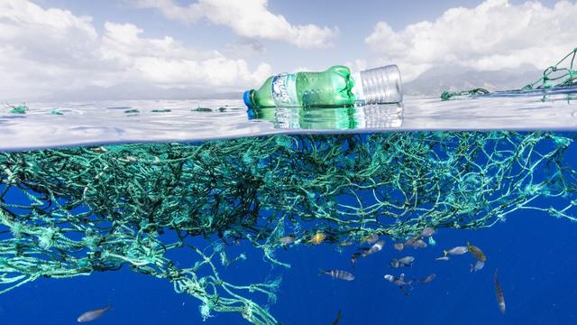 Les Galapagos s’attaquent à la pollution plastique (image d'illustration). [AFP - Franco Banfi/Biosphoto]