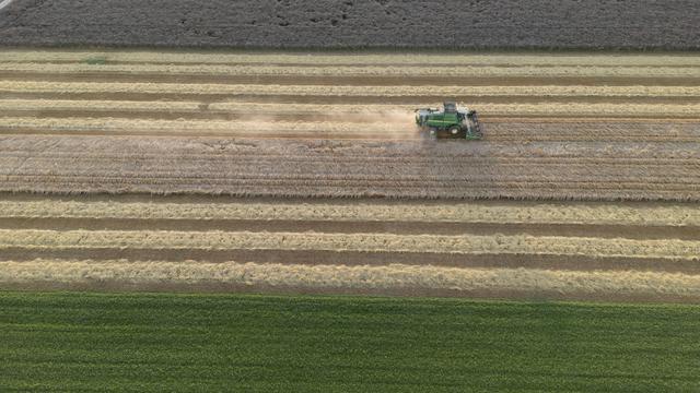 L'initiative pour une "alimentation sûre" sera soumise au peuple [KEYSTONE - GAETAN BALLY]