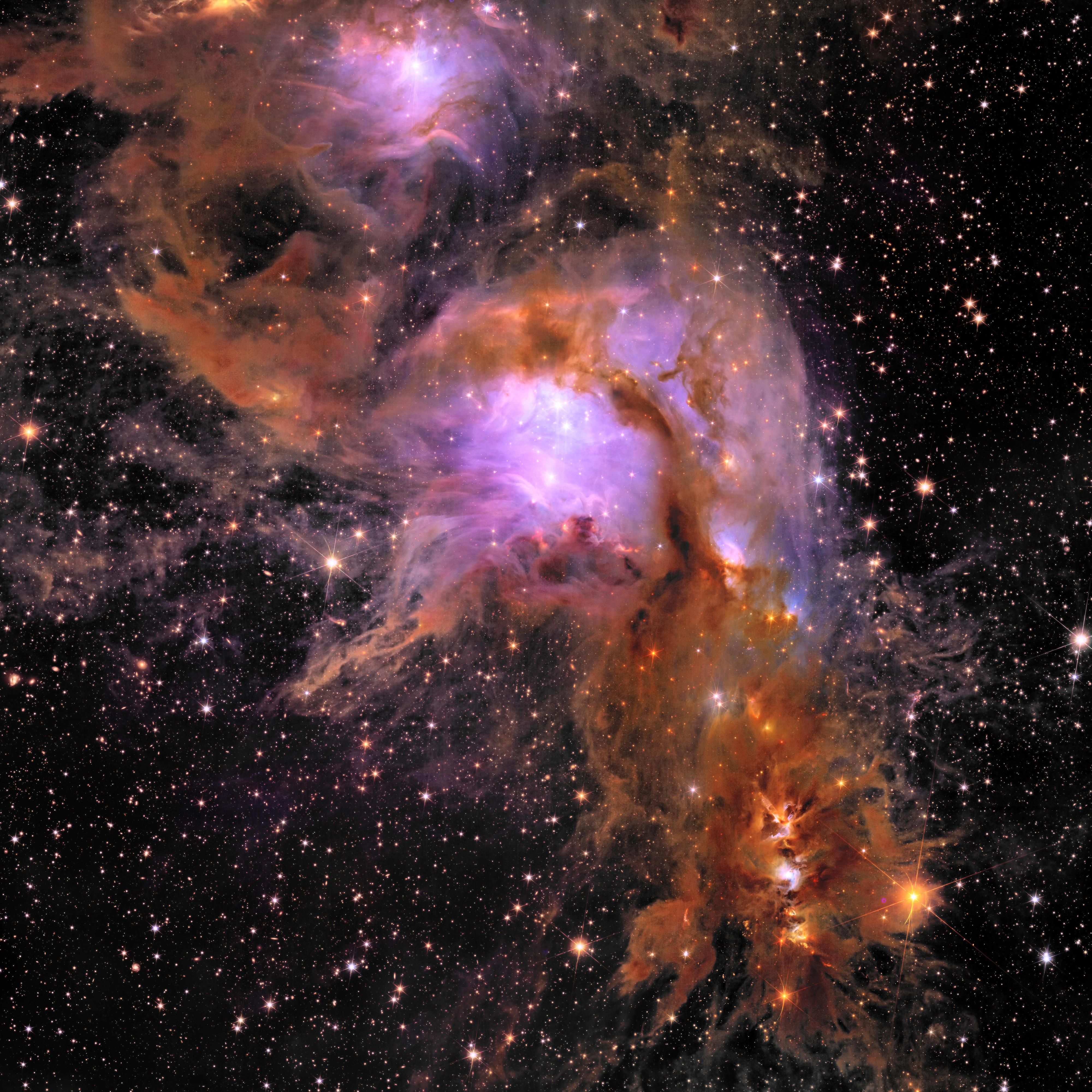 La nébuleuse Messier 78 se trouve à 1300 années-lumière, dans la constellation d'Orion. En haut de l'image se trouve la nébuleuse lumineuse NGC 2071. Un troisième filament de formation d'étoiles est visible vers le bas de l'image (avec une apparence de feu de circulation): il s'agit d'une nébuleuse sombre produisant des étoiles de faible masse, toutes disposées le long de filaments allongés dans l'espace. [ESA/Euclid/Euclid Consortium/NASA - image processing by J.-C. Cuillandre (CEA Paris-Saclay), G. Anselmi; CC BY-SA 3.0 IGO]