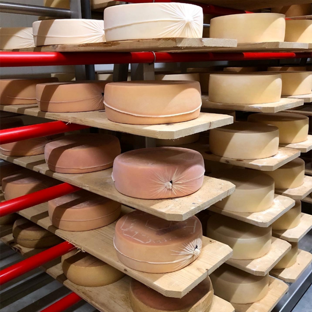 Fromages fraîchement emballés selon le nouveau procédé développé par Agroscope, le tissu protège le fromage jusqu’à trois mois d’affinage. [Agroscope - ©Cécile Stäger / Agroscope]