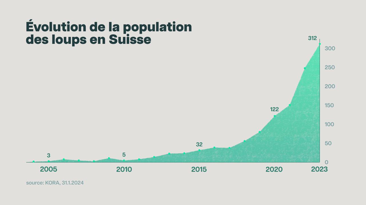 Ces dernières années, le nombre de loups a explosé en Suisse. [RTS]