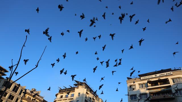 Des oiseaux survolent le centre de Damas, Syrie, 08 décembre 2024. (image d'illustration). [KEYSTONE - MOHAMMED AL RIFAI]