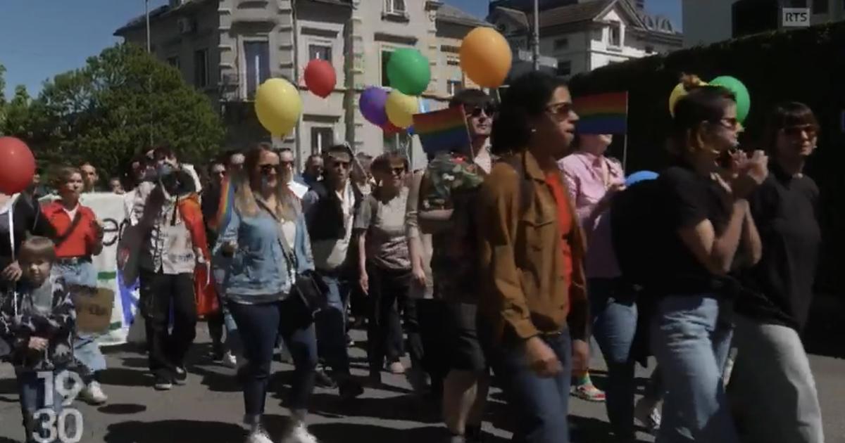 March Against Homophobia in Pfäffikon: Protesters Rally Against Discrimination and Intolerance