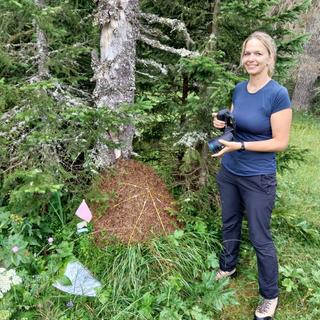 Cléo Bertelsmeier auprès de la supercolonie de fourmis des bois. [RTS - Bastien Von Wyss]