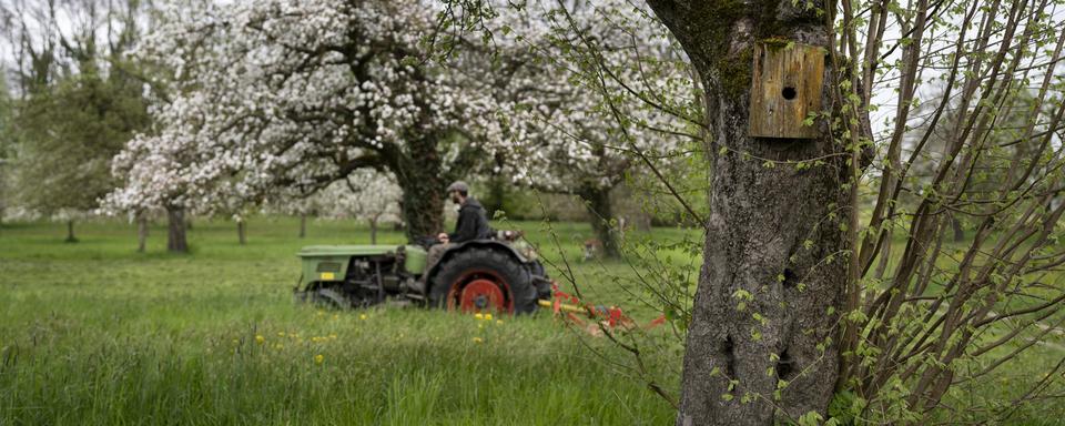 L'usage de pesticides de la part des paysans suisses baisserait même si une transition vers l'agriculture biologique séduit peu et que la protection face aux espèces invasives se réduit sans l'usage de pesticides. [Keystone - Gaetan Bally]