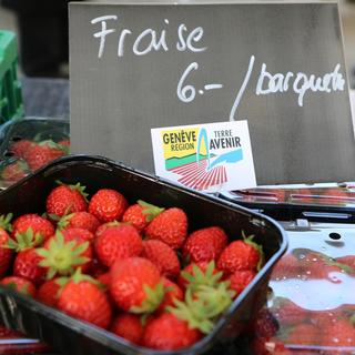 Des fraises du GRTA. [ge.ch]