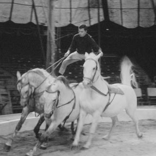 Image d'archive du spectacle du cirque Knie. [RTS - RTS]