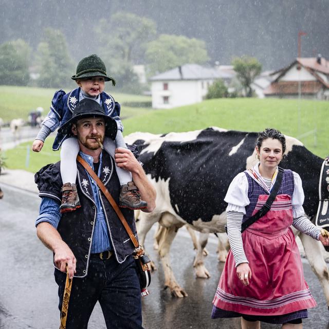 Des membres de la famille Savary descendent depuis l'alpage "Le Ganet" avec un troupeau de septante vaches lors de la Désalpe de Charmey. [KEYSTONE - JEAN-CHRISTOPHE BOTT]