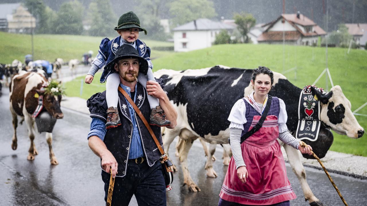 Des membres de la famille Savary descendent depuis l'alpage "Le Ganet" avec un troupeau de septante vaches lors de la Désalpe de Charmey. [KEYSTONE - JEAN-CHRISTOPHE BOTT]