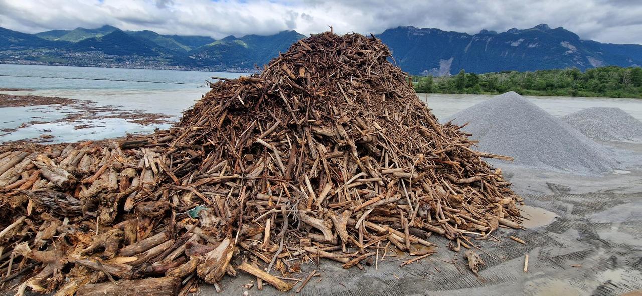 Des tonnes de bois charriés par les cours d'eau ont été piégés par un barrage flottant à l'embouchure du Rhône dans la commune de Port-Valais. Des opérations d'extractions sont en cours depuis vendredi et pourraient durer une dizaine de jours. [RTS - Romain Carrupt]