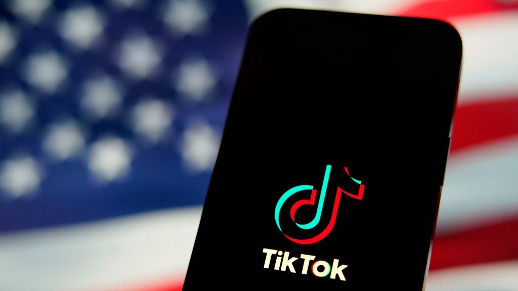 TikTok est poursuivi par les Etats-Unis pour violation de la vie privée des enfants. [AFP - Jaap Arriens / NurPhoto]