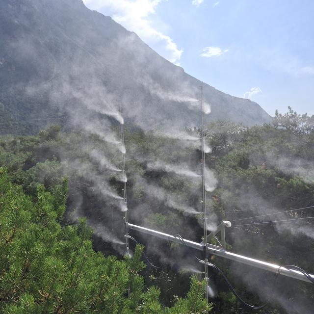 Le WSL et et lʹEPFL ont inauguré un dispositif inédit au Bois de Finges, en Valais, pour étudier l'effet de la sécheresse de l'air sur les forêts. [RTS - Sarah Dirren]