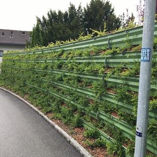 Mur antibruit végétalise à Herrliberg (ZH) [Naturawall]