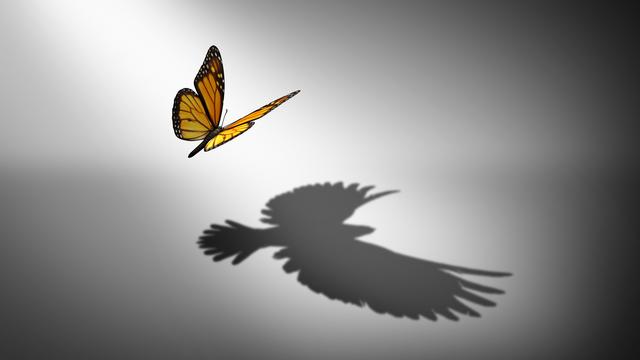 Aspiration for change and ambition for improvement and success as a metaphor for growth and transformation as a butterfly casting a shadow of a flying bird with 3D illustration elements. [IStockphoto - wildpixel]