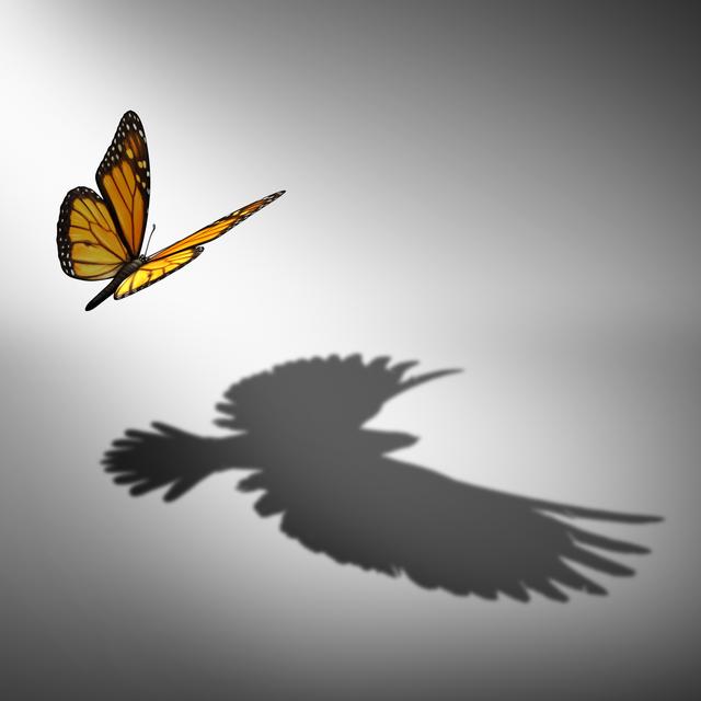 Aspiration for change and ambition for improvement and success as a metaphor for growth and transformation as a butterfly casting a shadow of a flying bird with 3D illustration elements. [IStockphoto - wildpixel]