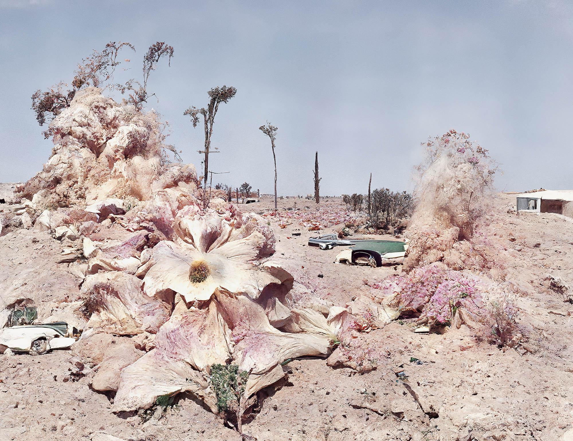 Mathieu Bernard-Reymond, "Comme une explosion de fleurs dans le désert", 2022. [Centre de la photographie, Genève - Mathieu Bernard-Reymond]