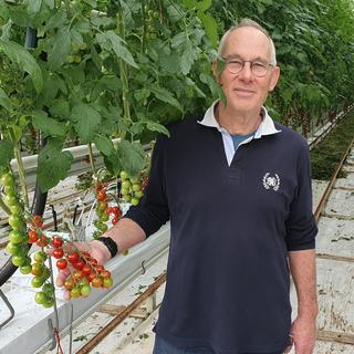 Alexandre Cudet maraîcher et cultivateur de tomates hors sol à Veyrier dans le canton de Genève. [RTS - Xavier Bloch]