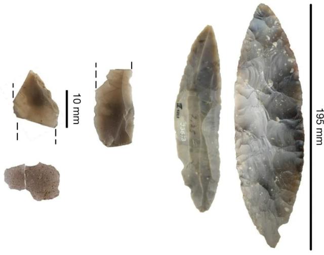 Des outils biface la culture du Lincombien-Ranisien-Jerzmanowicien (LRJ) trouvés sur le site de Ranis, en Allemagne. [Nature - J.-J. Hublin & al.]