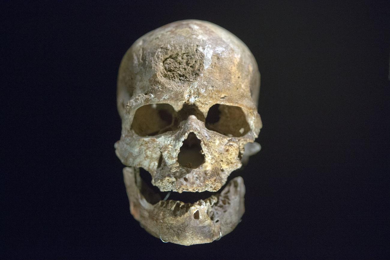 Un crâne d'Homo sapiens datant d'il y a 28'000 ans, trouvé en Dordogne, conservé au Musée de l'Homme de Paris. [KEYSTONE - François Mori/AP]