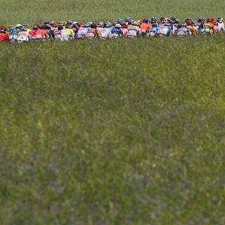 Les cyclistes du Tour de France pendant la première course entre Florence et Rimini (Italie), 29 juin 2024. [Keystone/AP Photo - Jerome Delay]