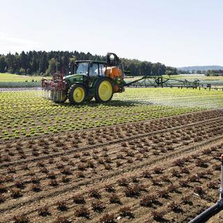 Le Conseil national a largement refusé mercredi de réduire les paiements directs aux agriculteurs. [Keystone]