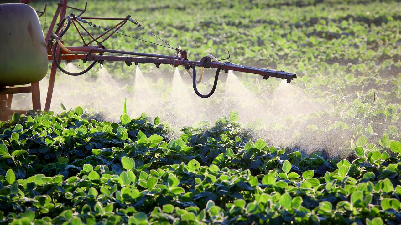 En 2023, la Suisse n'a jamais autant permis l'utilisation de pesticides. [simazoran - Depositphotos]