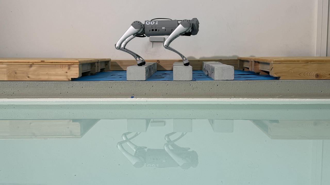 Entraîné à l'aide de l'apprentissage machine par des scientifiques de l'EPFL, un robot quadrupède a changé spontanément de démarche – le pas, le trot et le stotting – dans le but d'éviter les chutes. [EPFL/BioRob - CC-BY-SA 4.0]