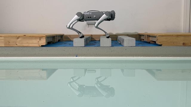 Entraîné à l'aide de l'apprentissage machine par des scientifiques de l'EPFL, un robot quadrupède a changé spontanément de démarche – le pas, le trot et le stotting – dans le but d'éviter les chutes. [EPFL/BioRob - CC-BY-SA 4.0]