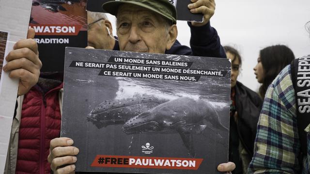 Paul Watson est en détention provisoire au Groenland. [AFP - Eric Broncard/Hans Lucas]