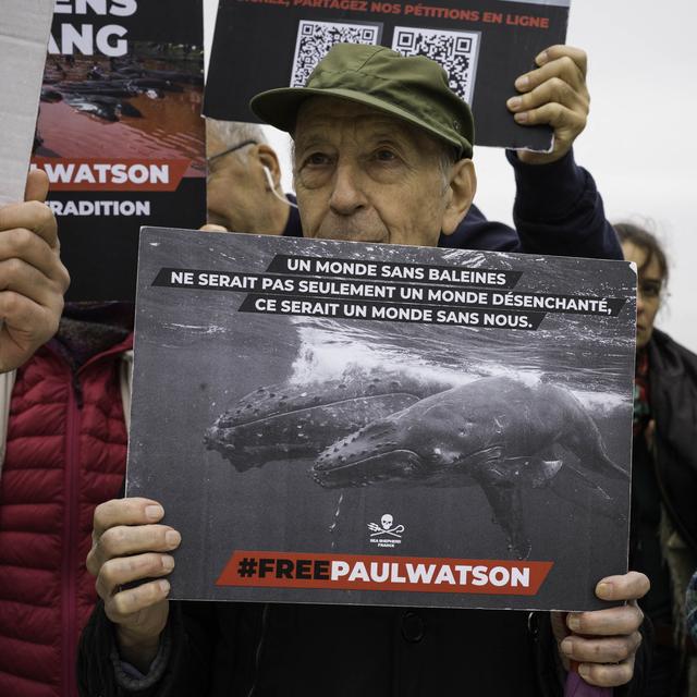 Paul Watson est en détention provisoire au Groenland. [AFP - Eric Broncard/Hans Lucas]