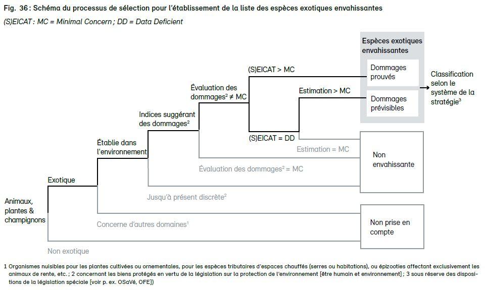 Schéma explicatif de la classification scientifique des espèces invasives utilisée par les centres de données nationaux, InfoFlora et InfoSpecies. [InfoFlora]