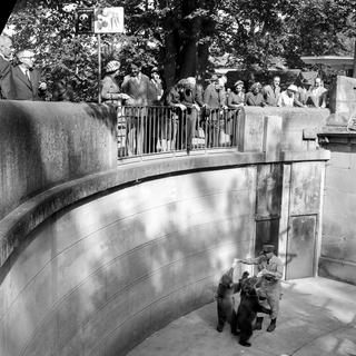 La fosse aux ours à Berne. [Keystone - PHOTOPRESS-ARCHIV/Joe Widmer/Alphons Biland]