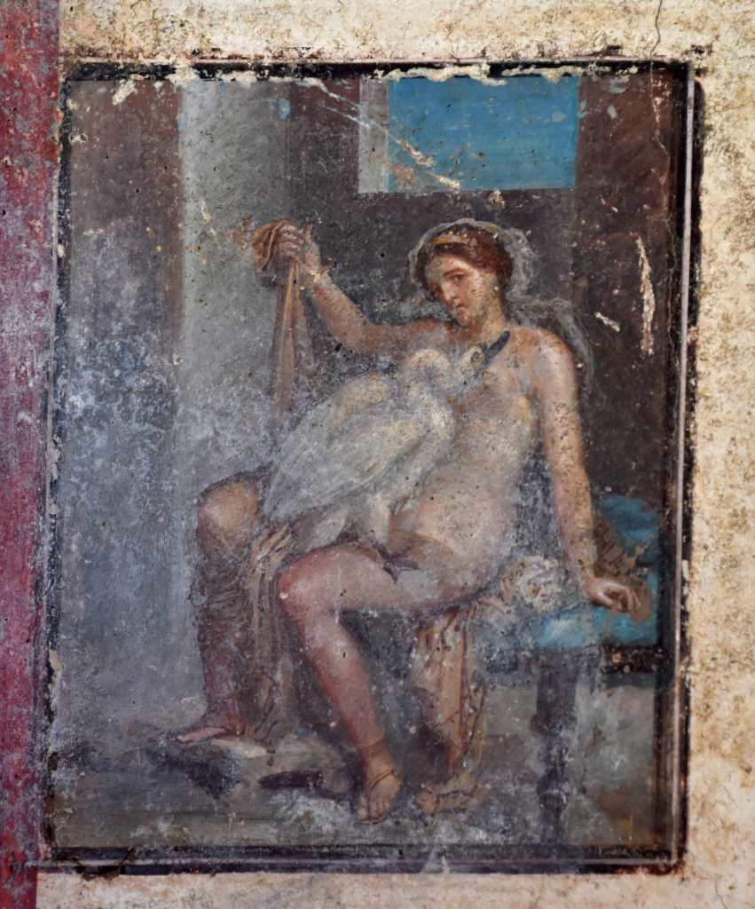 Une fresque représente Léda et Zeus, qui a pris la forme d'un cygne. De leur étreinte naîtront Hélène et Pollux. [Pompéii]