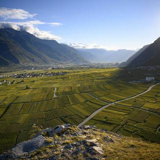 Un encaveur valaisan accusé d'avoir vendu du vin espagnol sous l'appellation "AOC Valais". [Keystone]