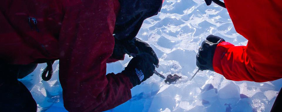 Les chercheuses et chercheurs peuvent encore collecter des météorites en surface. Pourtant, bon nombre d’entre elles pourraient avoir disparu d’ici peu. [wsl.ch - Steven Goderis / Vrije Universiteit Brussel]