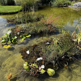 Floradeau, des mini jardins flottant pour aider la biodiversité. [Floradeau]