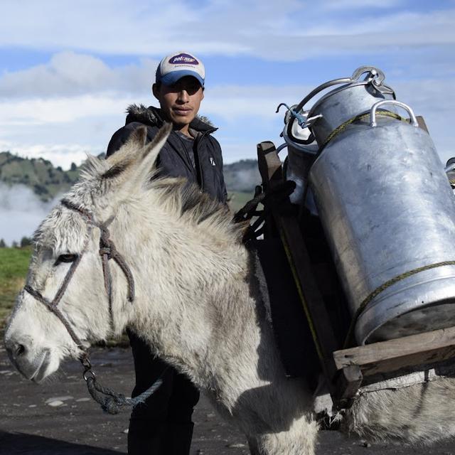 Un fromager suisse accompagne les laiteries en Equateur. [RTS - © Éric Besatti]