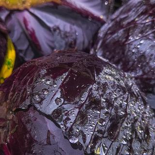 Du jus de chou rouge. [AFP - Artur Widak / NurPhoto / NurPhoto via AFP]