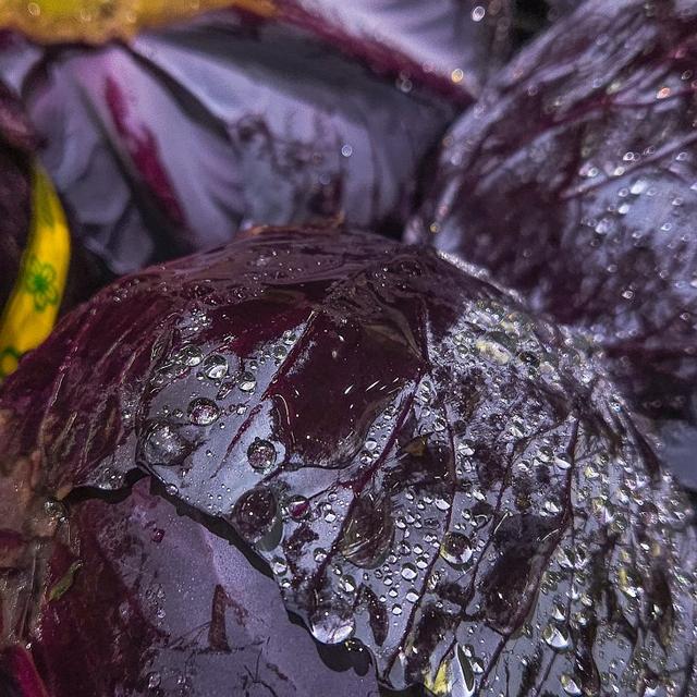 Du jus de chou rouge. [AFP - Artur Widak / NurPhoto / NurPhoto via AFP]