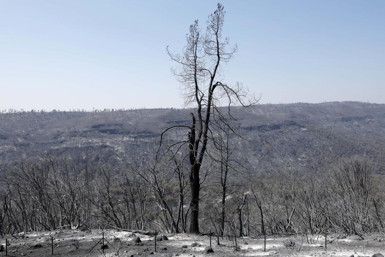 Le mégafeu "Park Fire" a déjà ravagé une surface plus vaste que la ville de Los Angeles. [KEYSTONE - JOHN G. MABANGLO]