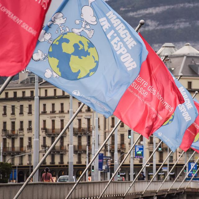 Le dimanche 13 octobre 2024, de 9h à 17h30, la 33e édition de la Marche de l'espoir organisée par Terre des hommes Suisse, aura lieu à Genève et mettra le Mali à l'honneur. [marchedelespoir.ch]