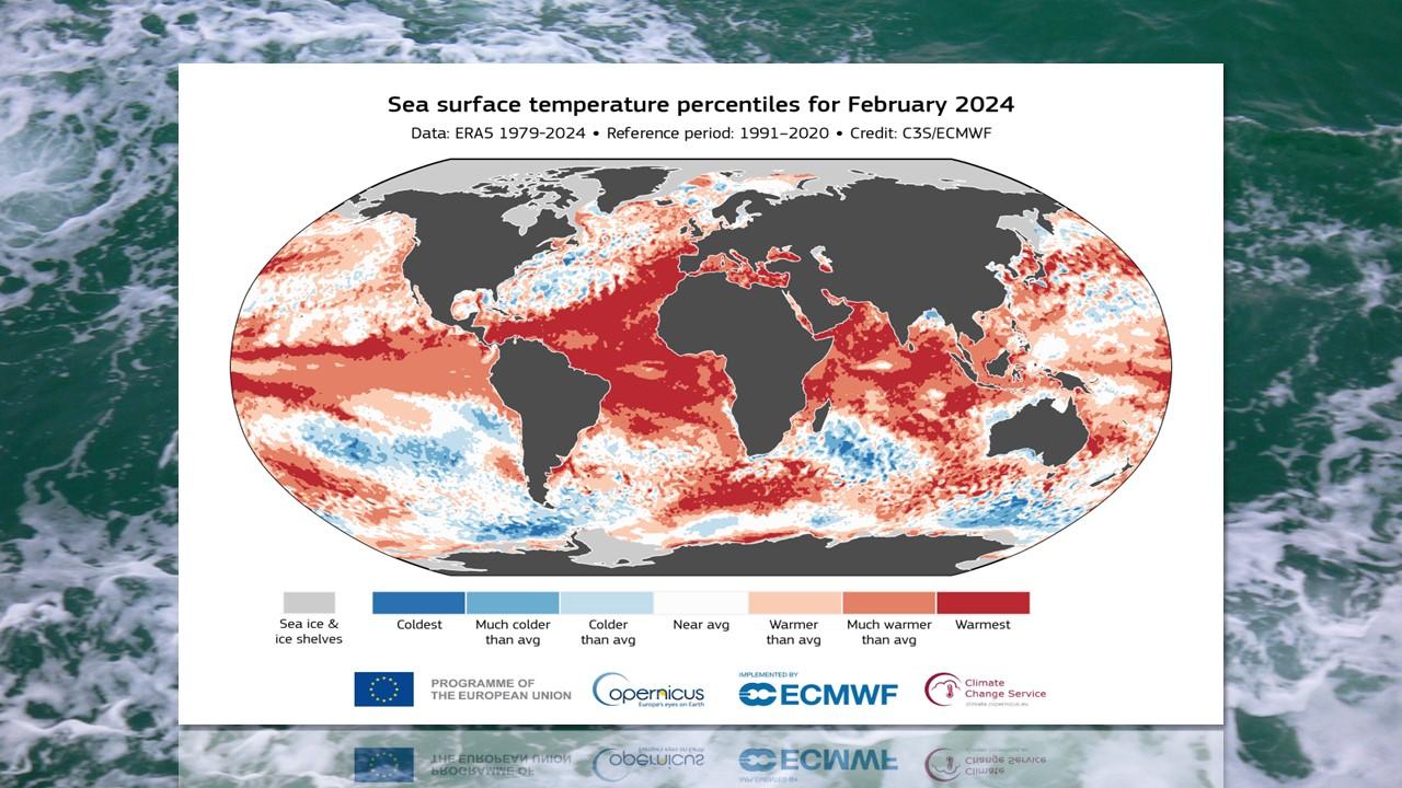 Anomalies de températures à la surface de l'océan pendant le mois de février 2024 [Copernicus/Wikicommons]