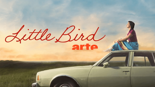 Visuel de la série d'Arte "Little Bird". [Arte TV]