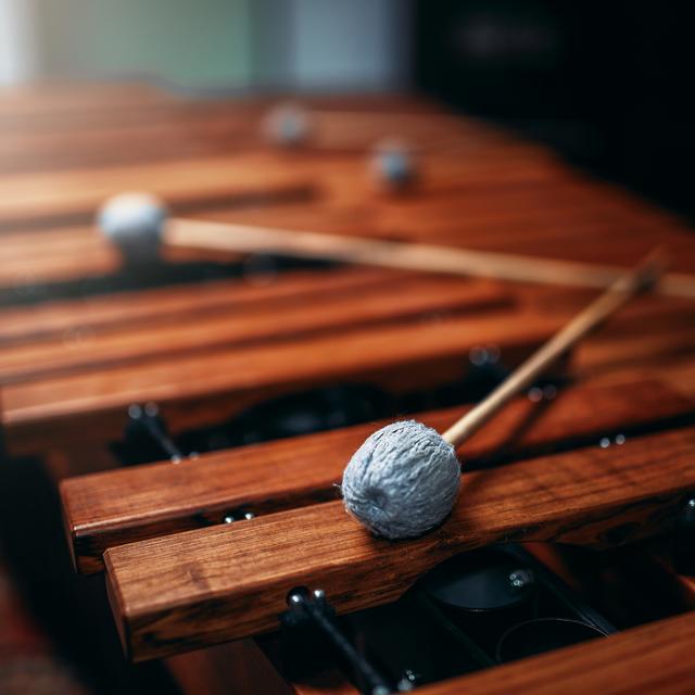 Xylophone avec bâtons gros plan. [Depositphotos - ©Nomadsoul1]